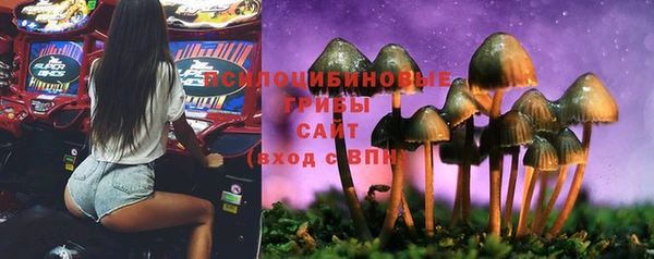 дживик Алзамай