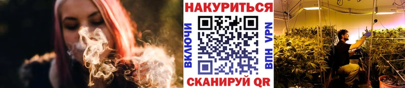 как найти   Бакал  Бошки Шишки семена 